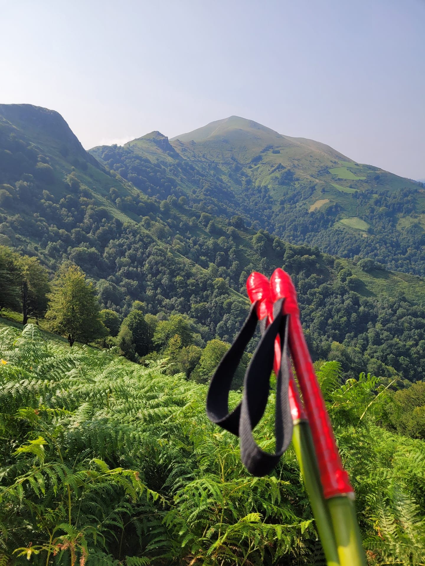 Bâtons Bakila en situation au Pays Basque