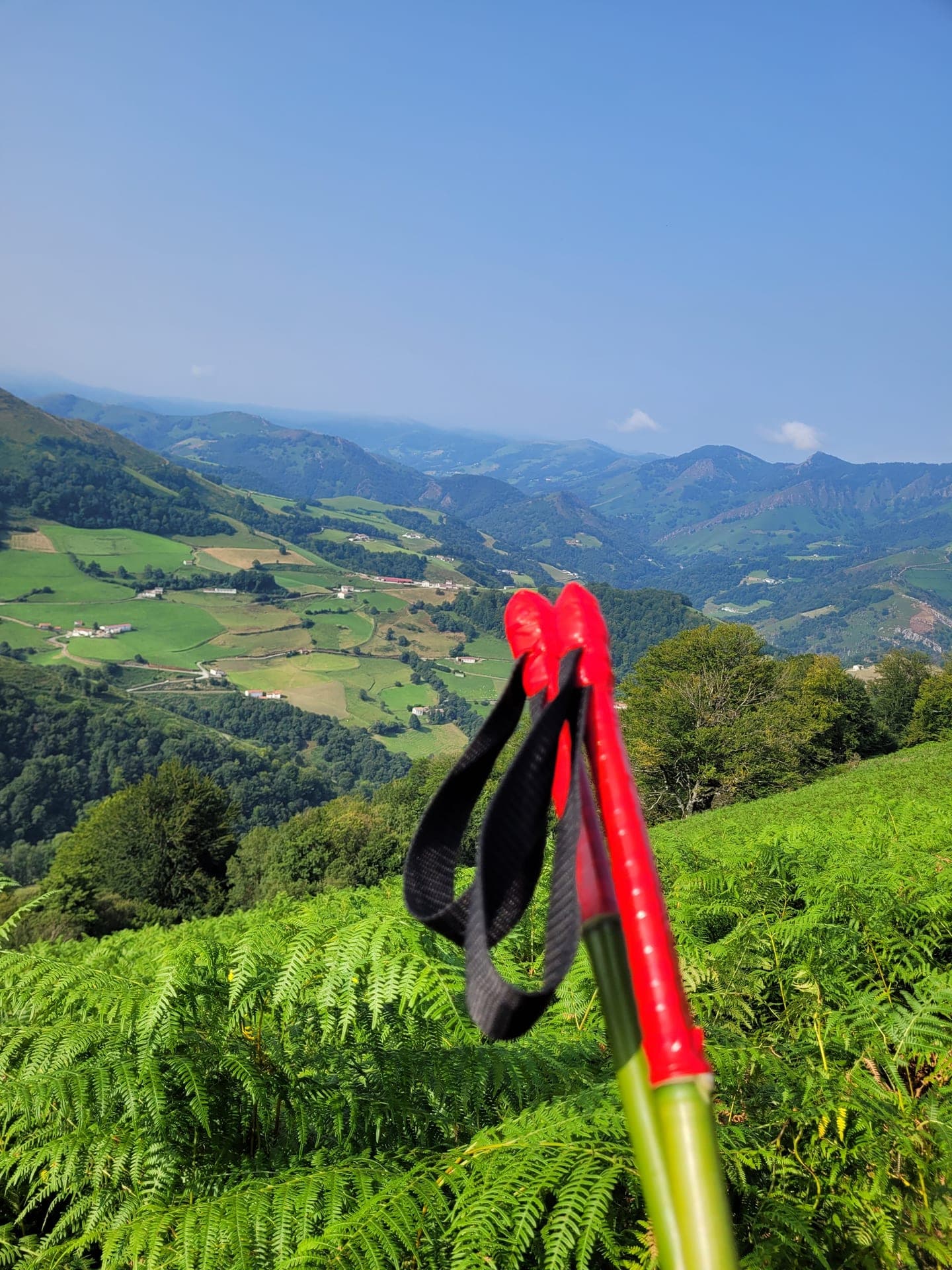 Test des bâtons bambou sur sentier de trail